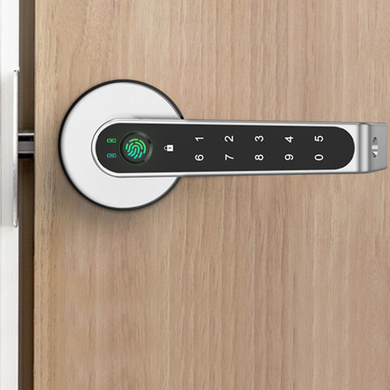 Actual silver ADA Smart Door Lock