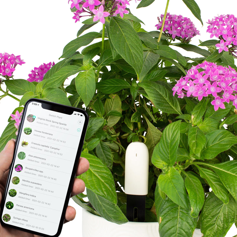 Plant Smart Sensors Monitor Plants Phone Smart Plant Sensors Connected Mobile App