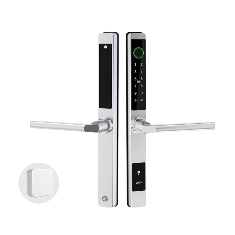 Silver Sliding Door Smart Door Lock & WiFi Gateway