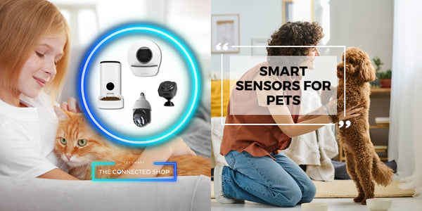 Pawsitively Secure: How Smart Sensors Keep Your Pets Safe When You're Away - The Connected Shop