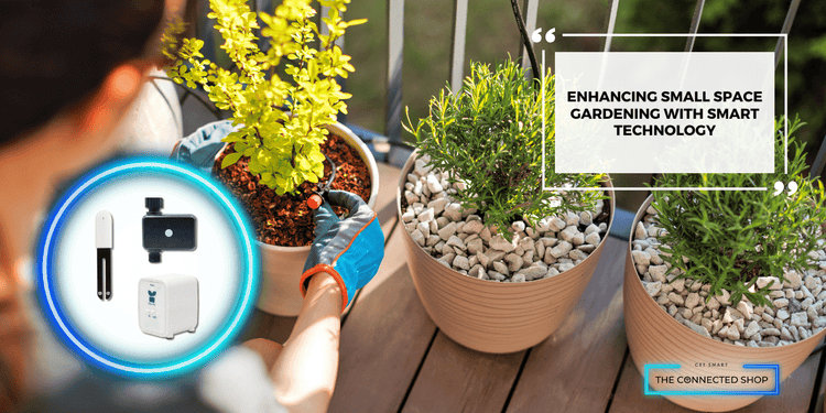Smart Gardening in Small Spaces: How Technology Transforms Urban Green