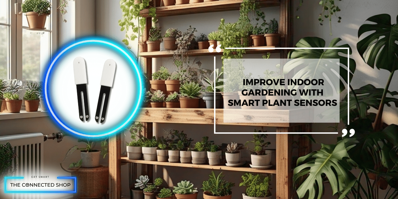 Illustration of Smart Gardening With Alexa And Sensor Integration