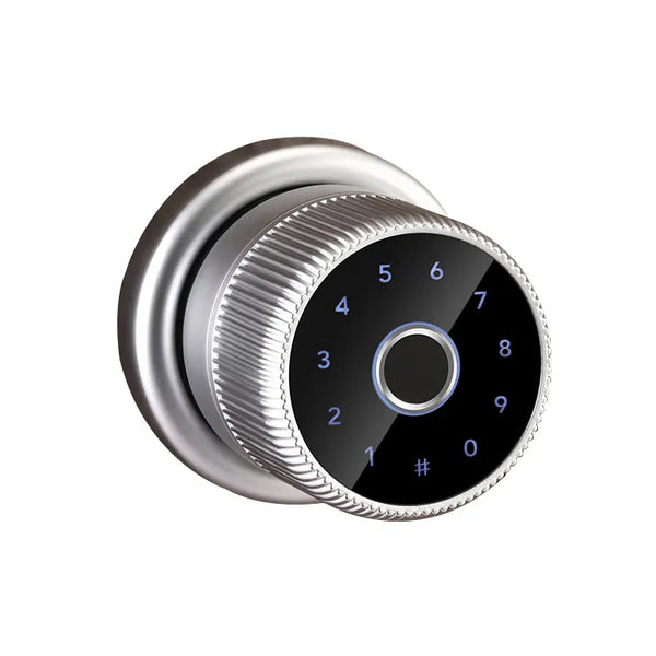 Silver Smart Door Knob Lock