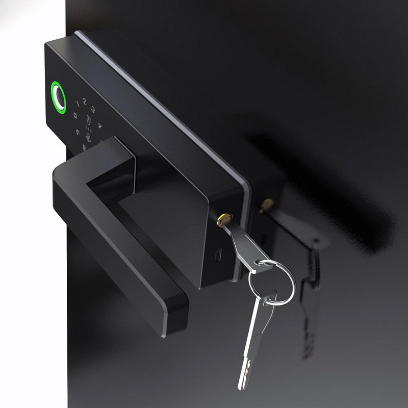 Physical key Glass Swing Door Smart Lock