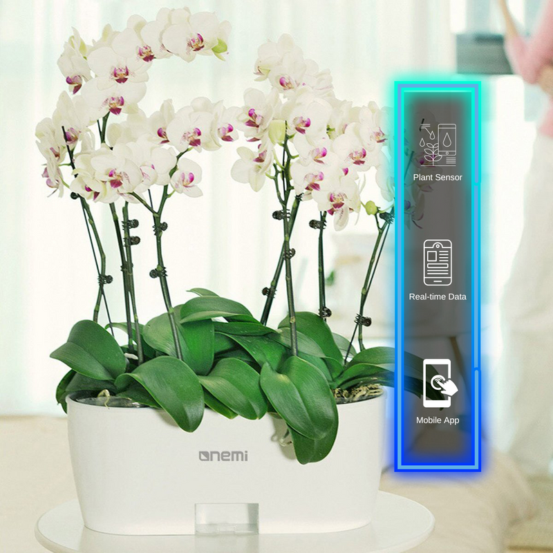 Icons Self Watering Smart Planting Pot