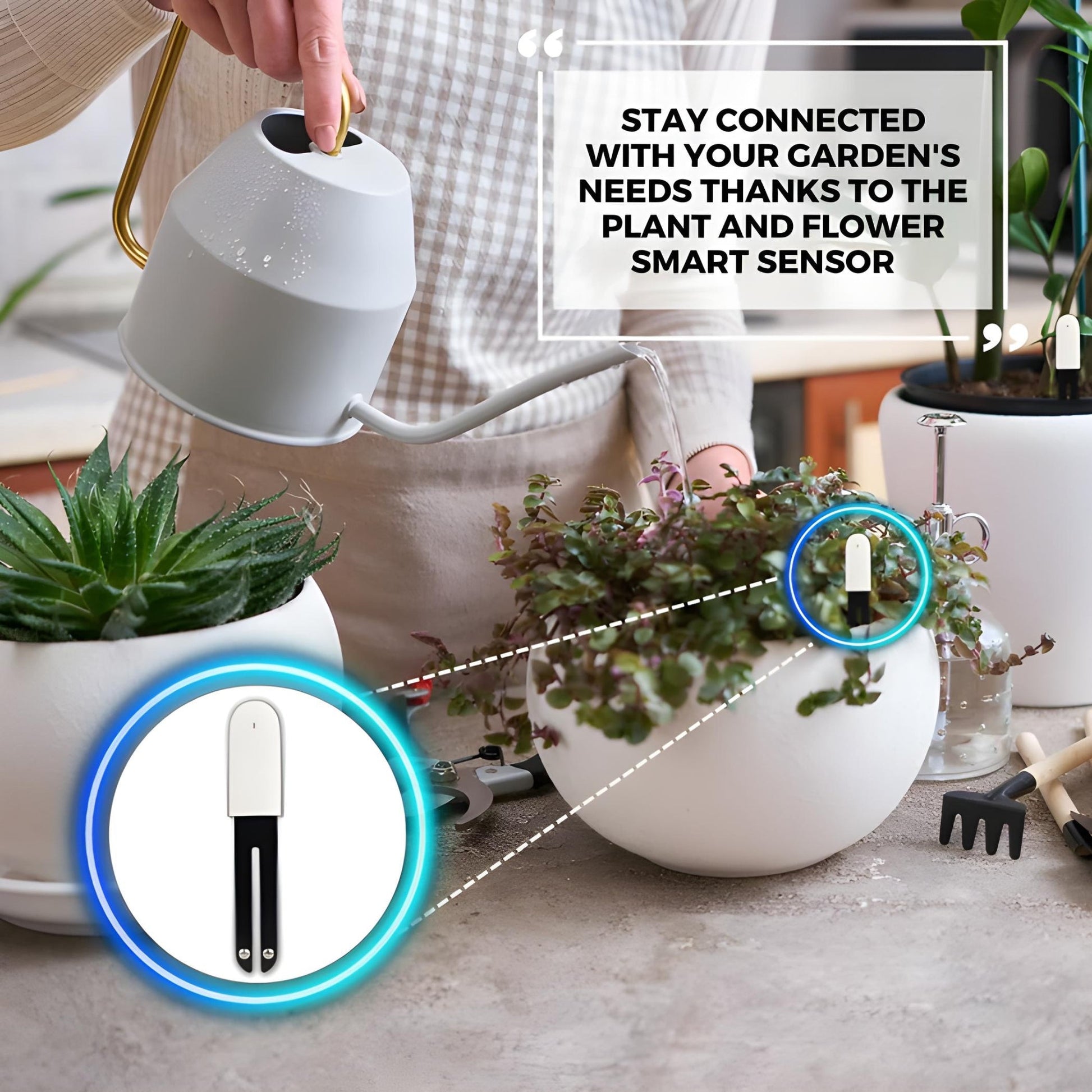 smart pot plant Plant & Flower Smart Sensors