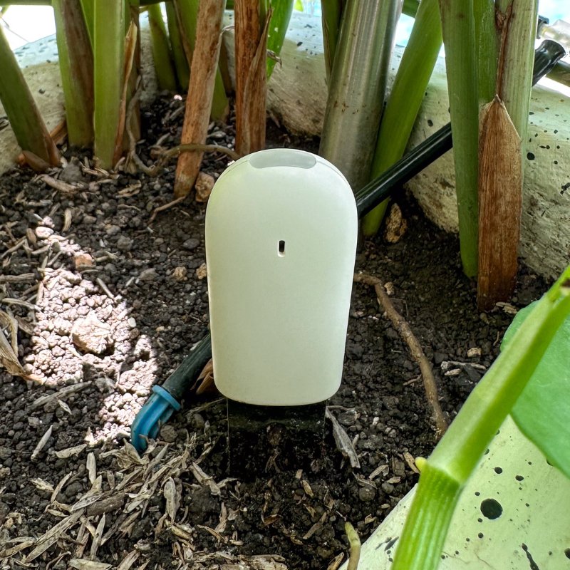 indoor plant sensor Plant & Flower Smart Sensors