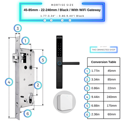 Smart Door Lock Duo