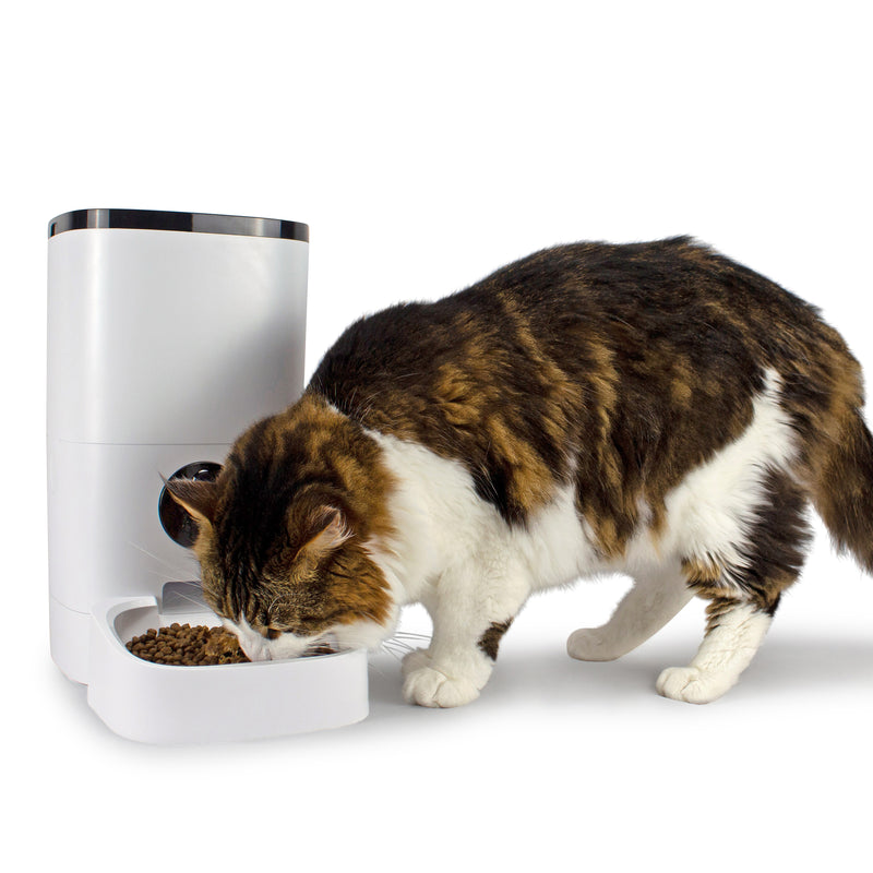 Smart Pet Feeder Camera cat eating Live Video Smart Pet Feeder Camera Connected Smart Pet Feeder Camera