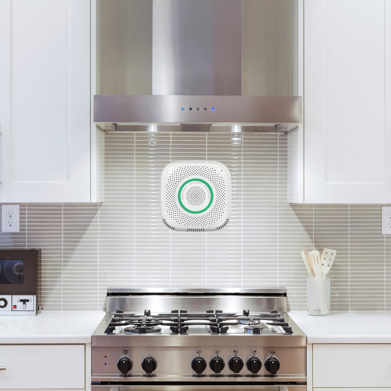 Kitchen Smart Gas Leak Detector